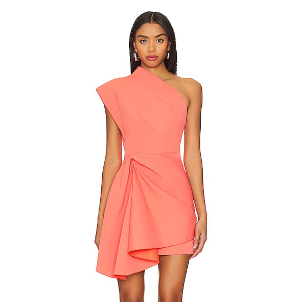 Gowrie mini dress in gerbera pink (worn ONCE!)